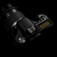 Illustration for article titled Canon EOS 50D Official: 15-Megapixel Prosumer DSLR Is First With Digic 4 Processor